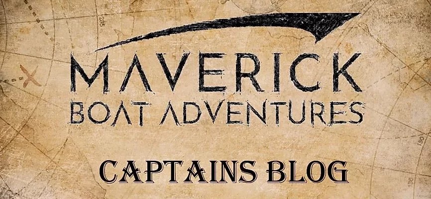 CAPTAIN LOG_JPG Maverick Boat Adventures