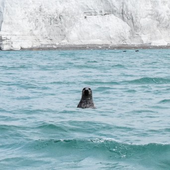 a group of people posing for a picture next to a body of water