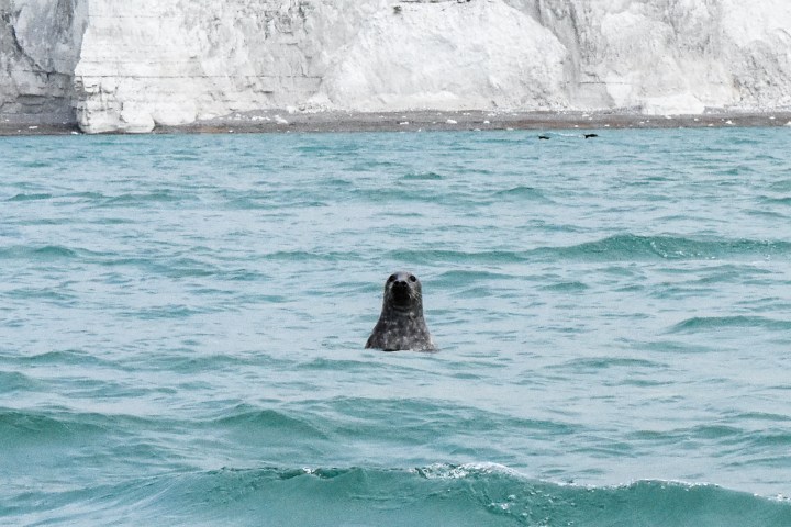 a group of people posing for a picture next to a body of water
