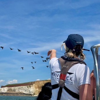 a group of people riding on the back of a boat